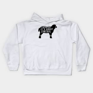 It's not About Safety It's About Control, Sheep Kids Hoodie